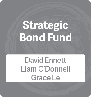 Strategic Bond Fund